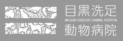 目黒洗足動物病院　ホームへ