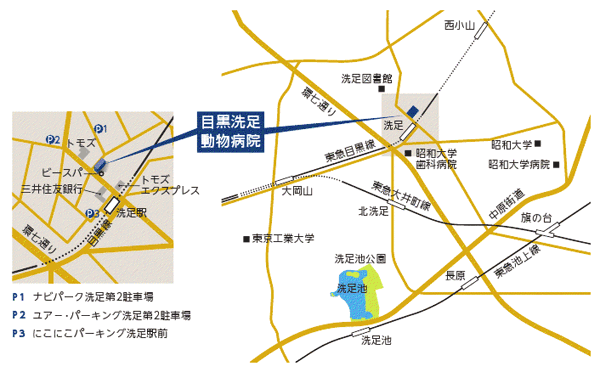 病院＆駐車場地図