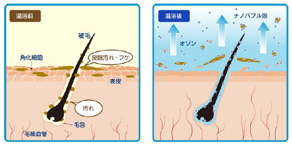 ナノバブル＆オゾン